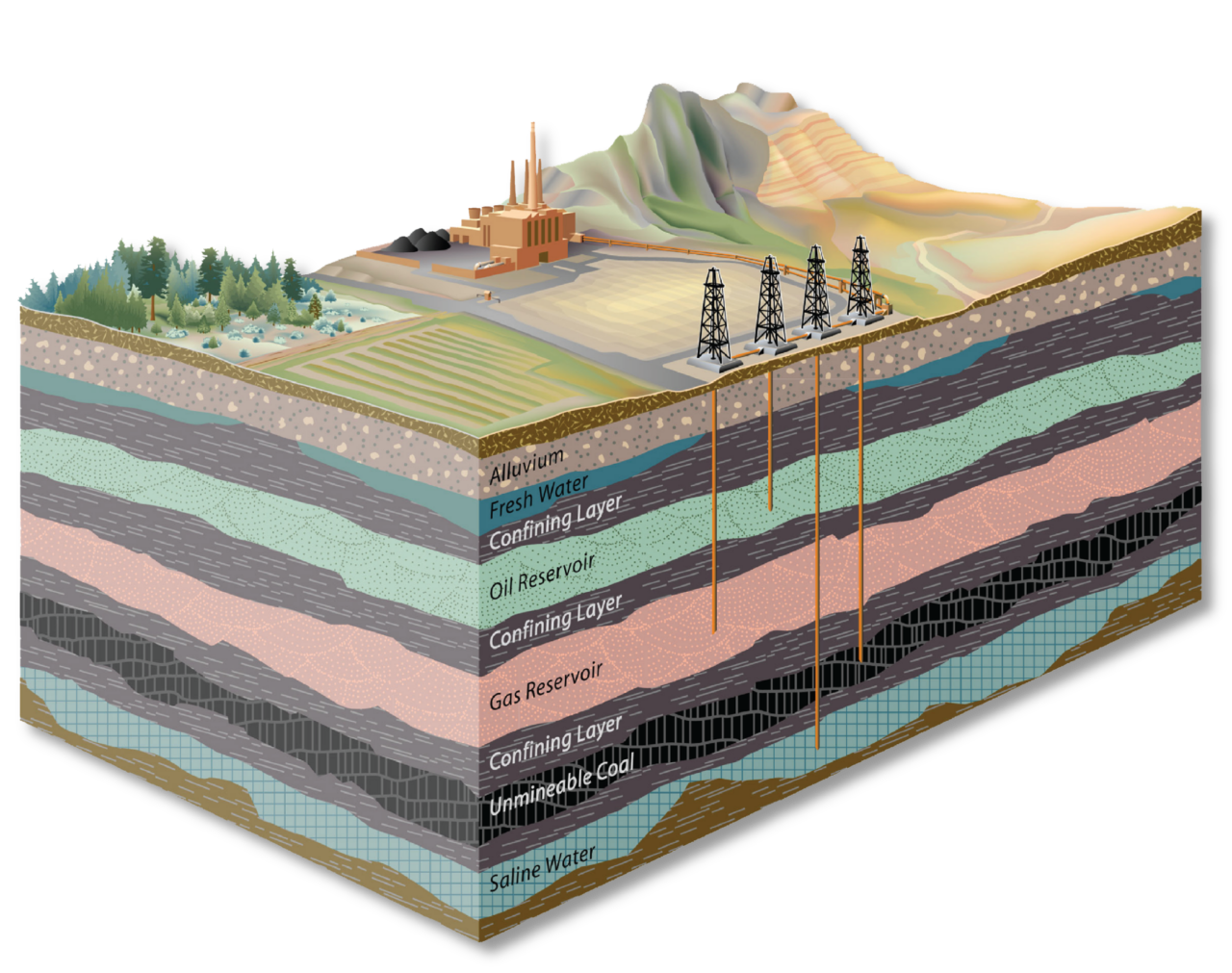 Carbon Management | EGI